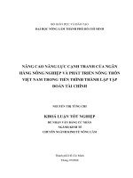 NÂNG CAO NĂNG LỰC CẠNH TRANH CỦA NGÂN HÀNG NÔNG NGHIỆP VÀ PHÁT TRIỂN NÔNG THÔN VIỆT NAM TRONG TIẾN TRÌNH THÀNH LẬP TẬP ĐOÀN TÀI CHÍNH