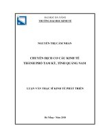 Chuyển dịch cơ cấu kinh tế thành phố tam kỳ, tỉnh quảng nam
