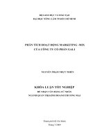 PHÂN TÍCH HOẠT ĐỘNG MARKETING MIX CỦA CÔNG TY CỔ PHẦN GALI