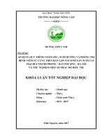 Áp dụng quy trình chăm sóc, nuôi dưỡng và phòng trị bệnh viêm tử cung trên đàn lợn nái sinh sản nuôi tại trại Bùi Thanh Phong  Đan Phượng  Hà Nội và thử nghiệm một số phác đồ điều trị (Khóa luận tốt nghiệp)