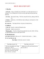 Giáo án Hóa học 8 bài 29: Bài luyện tập 5