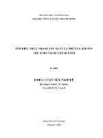 TÌM HIỂU THỰC TRẠNG SẢN XUẤT CÀ PHÊ CỦA HỘ DÂN TỘC K’HO TẠI HUYỆN DI LINH