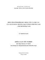 PHÂN TÍCH TÌNH HÌNH HUY ĐỘNG VỐN VÀ CHO VAY CỦA NGÂN HÀNG THưƠNG MẠI CỔ PHẦN PHưƠNG NAM _ CHI NHÁNH ĐẠI NAM