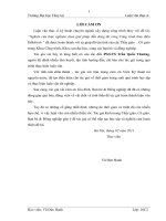 NGHIÊN CỨU THỰC NGHIỆM CHỌN GIẢI PHÁP DẪN DÒNG THI CÔNG CÔNG TRÌNH THỦY ĐIỆN DAKDRINH