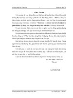 TÍNH TOÁN VÀ TỐI ƯU HÓA KẾT CẤU ĐẬP TRÀN PHÍM PIANO-ÁP DỤNG CHO CÔNG TRÌNH THỦY ĐIỆN DAK MI 2