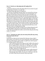 Câu hỏi ôn thi môn kinh tế đô thị