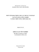 PHÂN TÍCH HOẠT ĐỘNG CHO VAY TRUNG VÀ DÀI HẠN TẠI NGÂN HÀNG NÔNG NGHIỆP VÀ PHÁT TRIỂN NÔNG THÔN ĐĂK LĂK