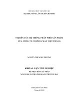 NGHIÊN CỨU HỆ THỐNG PHÂN PHỐI SẢN PHẨM CỦA CÔNG TY CỔ PHẦN MAY VIỆT THẮNG