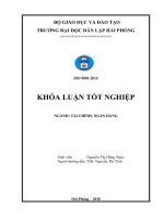Một số giải pháp nâng cao hiệu quả huy động vốn tiền gửi tại ngân hàng thương mại cổ phần Đông Nam Á – Chi nhánh Hồng Bàng, Hải Phòng (Khóa luận tốt nghiệp)