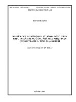 NGHIÊN CỨU CƠ SỞ ĐỘNG LỰC SÓNG, DÒNG CHẢY PHỤC VỤ XÂY DỰNG CẢNG NHÀ MÁY NHIỆT ĐIỆN QUẢNG TRẠCH-TỈNH QUẢNG BÌNH