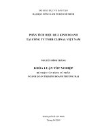 PHÂN TÍCH HIỆU QUẢ KINH DOANH TẠI CÔNG TY TNHH CLIPSAL VIỆT NAM