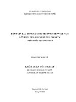 ĐÁNH GIÁ TÁC ĐỘNG CỦA THỊ TRƯỜNG THÉP VIỆT NAM LÊN HIỆU QUẢ SẢN XUẤT CỦA CÔNG TY TNHH THÉP QUANG MINH