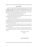 NGHIÊN CỨU XÁC ĐỊNH MẶT CẮT CƠ BẢN CỦA ĐẬP BÊ TÔNG TRỌNG LỰC THEO CÁC HỆ TIÊU CHUẨN KHÁC NHAU