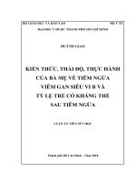 Kiến thức, thái độ, thực hành của bà mẹ về tiêm ngừa viêm gan siêu vi B và tỷ lệ trẻ có kháng thể sau tiêm ngừa (Luận án tiến sĩ)