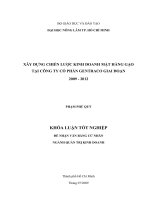 XÂY DỰNG CHIẾN LƯỢC KINH DOANH MẶT HÀNG GẠO TẠI CÔNG TY CỔ PHẦN GENTRACO GIAI ĐOẠN 2009  2012