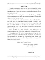 MỘT SỐ GIẢI PHÁP NÂNG CAO HIỆU QUẢ QUẢN LÝ VỐN NHÀ NƯỚC TRONG DỰ ÁN ĐẦU TƯ XÂY DỰNG CẢI TẠO NÂNG CẤP HỆ THỐNG SÔNG NGŨ HUYỆN YÊN PHONG TÌNH BẮC NINH