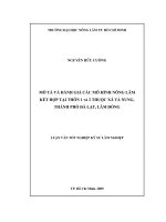 MÔ TẢ VÀ ĐÁNH GIÁ CÁC MÔ HÌNH NÔNG LÂM KẾT HỢP TẠI THÔN 1 và 2 THUỘC XÃ TÀ NUNG, THÀNH PHỐ ĐÀ LẠT, LÂM ĐỒNG