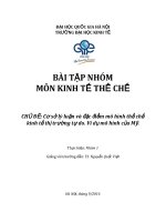 BÀI TẬP NHÓM MÔN KINH TẾ THỂ CHẾ: CHỦ ĐỀ: Cơ sở lý luận và đặc điểm mô hình thể chế kinh tế thị trường tự do. Ví dụ mô hình của Mỹ