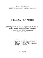 ĐỊNH LƯỢNG KHẢ NĂNG HẤP THỤ CARBON CỦA RỪNG THÔNG HAI LÁ (Pinus merkusii Jungh. et de Vriese) TRỒNG TẠI LÂM TRƯỜNG BỐ TRẠCH TỈNH QUẢNG BÌNH Họ