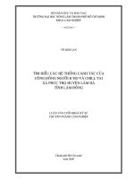 TÌM HIỂU CÁC HỆ THỐNG CANH TÁC CỦA CỘNG ĐỒNG NGƯỜI K’HO VÀ CHILL TẠI XÃ PHÚC THỌ HUYỆN LÂM HÀ TỈNH LÂM ĐỒNG