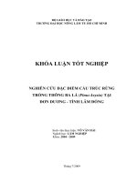 NGHIÊN CỨU ĐẶC ĐIỂM CẤU TRÚC RỪNG TRỒNG THÔNG BA LÁ (Pinus keysia) TẠI ĐƠN DƯƠNG  TỈNH LÂM ĐỒNG