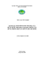 ĐÁNH GIÁ TÌNH HÌNH SINH TRƯỞNG CỦA RỪNG ĐƯỚC (Rhizophora Apiculata) TRỒNG TẠI RỪNG PHÒNG HỘ CẦN GIỜ TP. HỒ CHÍ MINH