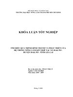 TÌM HIỂU QUÁ TRÌNH HÌNH THÀNH VÀ PHÁT TRIỂN CỦA HỆ THỐNG NÔNG LÂM KẾT HỢP TẠI XÃ ĐAK PƠ  HUYỆN ĐAK PƠ  TỈNH GIA LAI