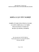 NGHIÊN CỨU KHẢ NĂNG TÍCH TỤ CÁC BON CỦA RỪNG THÔNG BA LÁ TỰ NHIÊN (Pinus kesiya Royle ex Gordon) TẠI HUYỆN LẠC DƯƠNG, LÂM ĐỒNG