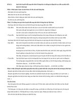 Đề tài những nguyên lý cơ bản của mac lenin 2