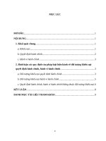 Bài tập lớn Thanh tra khiếu tố