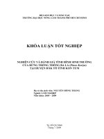 NGHIÊN CỨU VÀ ĐÁNH GIÁ TÌNH HÌNH SINH TRƯỞNG CỦA RỪNG TRỒNG THÔNG BA LÁ (Pinus Kesiya) TẠI HUYỆN ĐĂK TÔ TỈNH KON TUM