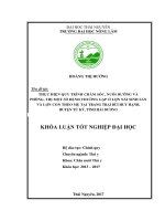 Thực hiện quy trình chăm sóc,nuôi dưỡng và phòng,trị một số bệnh thường gặp ở lợn nái sinh sản và lợn con theo mẹ tại trang trại Bùi Huy Hạnh  huyện Tứ Kỳ  tỉnh Hải Dương (Khóa luận tốt nghiệp)