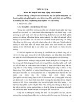 TIỂU LUẬN phân tích nội dung ppnc thị trường