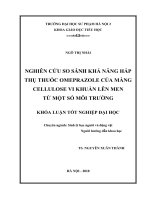 Nghiên cứu so sánh khả năng hấp thụ thuốc omeprazole của màng cellulose vi khuẩn lên men từ một số môi trường