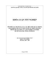 TÌM HIỂU SỰ THAM GIA CỦA CÁC BÊN LIÊN QUAN TRONG GIAO KHOÁN QUẢN LÝ BẢO VỆ RỪNG THEO CHƯƠNG TRÌNH 304 TẠI CÔNG TY LÂM NGHIỆP TAM HIỆP, HUYỆN DI LINH, TỈNH LÂM ĐỒNG