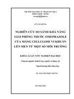 Nghiên cứu so sánh khả năng giải phóng thuốc omeprazole của màng cellulose vi khuẩn lên men từ một số môi trường