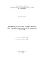 TÌM HIỂU CÁC MÔ HÌNH NÔNG LÂM KẾT HỢP ĐIỂN HÌNH TẠI PHƯỜNG 3, BAN QUẢN LÝ RỪNG TÀ NUNG, TP ĐÀ LẠT.