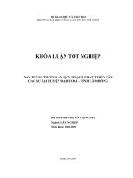 XÂY DỰNG PHƯƠNG ÁN QUY HOẠCH PHÁT TRIỂN CÂY CAO SU TẠI HUYỆN ĐẠ HUOAI – TỈNH LÂM ĐỒNG