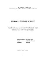 NGHIÊN CỨU SẢN XUẤT THỬ VÁN DĂM PHỐI TRỘN TỪ TRẤU KẾT HỢP VỚI MỤN XƠ DỪA