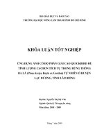 ỨNG DỤNG ẢNH CÓ ĐỘ PHÂN GIẢI CAO QUICKBIRD ĐỂ TÍNH LƯỢNG CACBON TÍCH TỤ TRONG RỪNG THÔNG BA LÁ (Pinus kesiya Royle ex Gordon) TỰ NHIÊN Ở HUYỆN LẠC DƯƠNG, TỈNH LÂM ĐỒNG