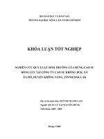 NGHIÊN CỨU QUY LUẬT SINH TRƯỞNG CỦA RỪNG CAO SU DÒNG GT1 TẠI CÔNG TY CAO SU KRÔNG BÚK, XÃ EA HỒ, HUYỆN KRÔNG NĂNG, TỈNNH ĐẮK LẮK