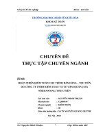 Hoàn thiện kiểm toán chu trình bán hàng-thu tiền do Công ty TNHH Kiểm toán và Tư vấn dịch vụ Hà Nội(HANOIAC) thực hiện