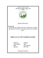 Thực hiện quy trình chăm sóc nuôi dưỡng và phòng trị cho lợn nái sinh sản tại trại liên kết với Tập đoàn BMG (Khóa luận tốt nghiệp)