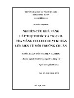 Nghiên cứu khả năng hấp thụ thuốc captopril của màng cellulose vi khuẩn lên men từ môi trường chuẩn