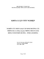 NGHIÊN CỨU PHÂN LOẠI CẤP SINH TRƯỞNG CÂY THÔNG BA LÁ (Pinus keysia) TRỒNG THUẦN LOÀI ĐỒNG TUỔI Ở ĐƠN DƯƠNG  TỈNH LÂM ĐỒNG