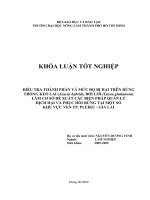 ĐIỀU TRA THÀNH PHẦN VÀ MỨC ĐỘ BỊ HẠI TRÊN RỪNG TRỒNG KEO LAI