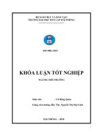 Đánh giá hiện trạng môi trường và đề xuất một số giải pháp giảm thiểu ô nhiễm môi trường (Khóa luận tốt nghiệp)