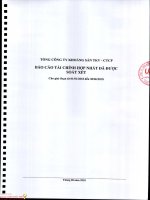 Tổng công ty khoáng sản TKV  Báo cáo tài chính  hợp nhất