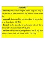 CÁC đại PHÂN tử hữu cơ TRONG tế bào SINH học 10