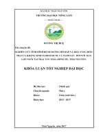 Nghiên cứu tình hình bệnh đường hô hấp và khả năng điều trị của kháng sinh Florfenicol và Tiamulin đối với đàn lợn nuôi tại trại Tân Thái  Đồng Hỷ  Thái Nguyên (Khóa luận tốt nghiệp)
